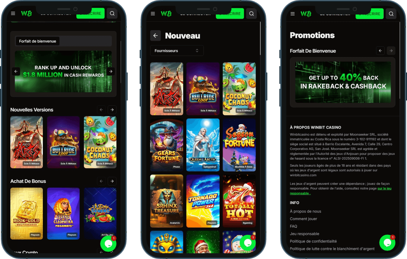 Expérience de Jeu Mobile